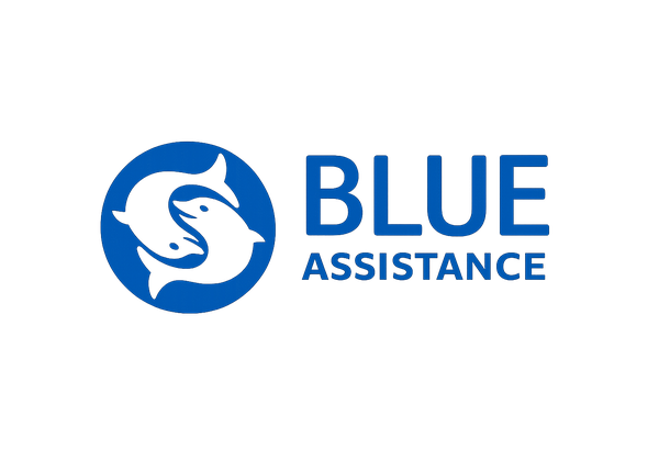 Blue Assistance